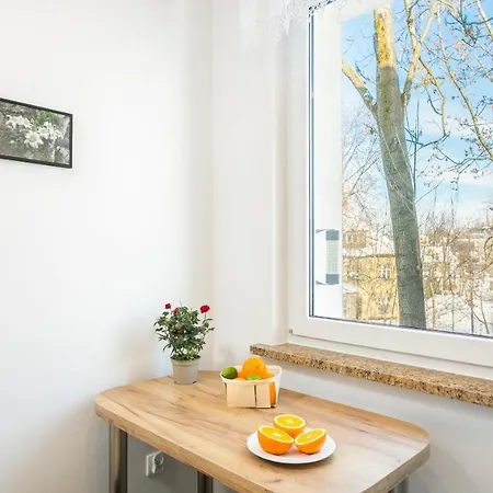 Rent Like - Orkana Viii Apartment Zakopane